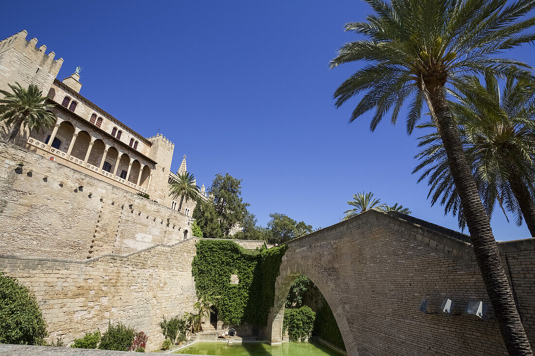 Außenansicht der Kathedrale von Palma De Mallorca mit Palmen