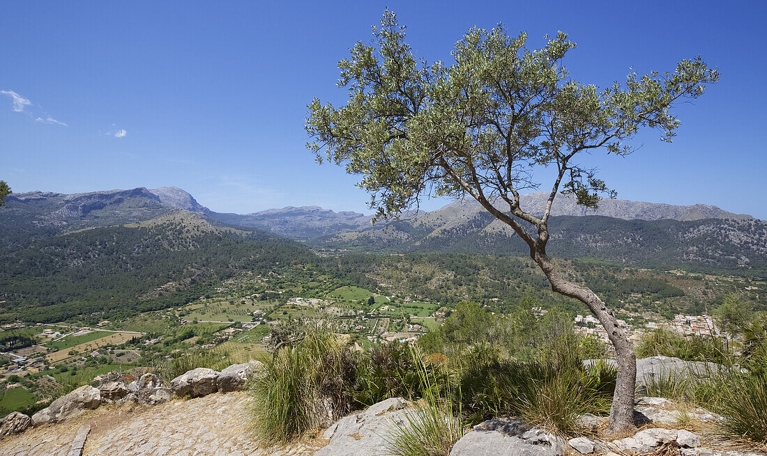 Aerial View Of Pollenca And Mountains Beyond From Hill Top Monastery, Mallorca