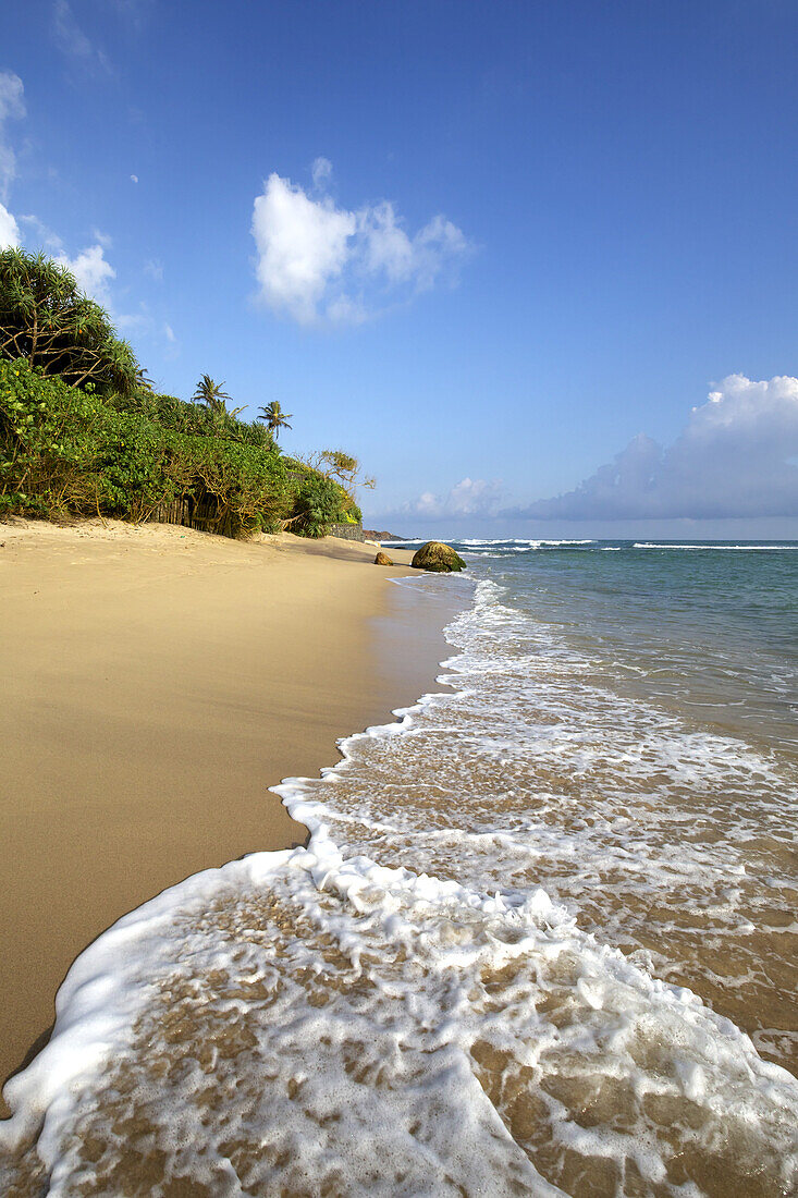 Golden Sand Beach Fringed By Palm Trees