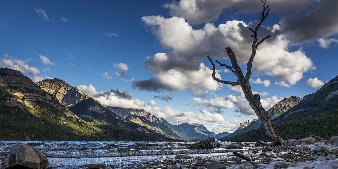 Waterton Lakes National Park; Alberta, Canada