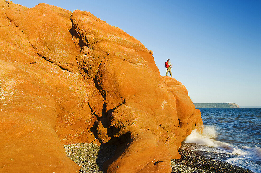 Hiker On The Red Rocks, Cape Chignecto Provincial Park, Near Adocate In The Minas Basin, Bay Of Fundy; Nova Scotia, Canada
