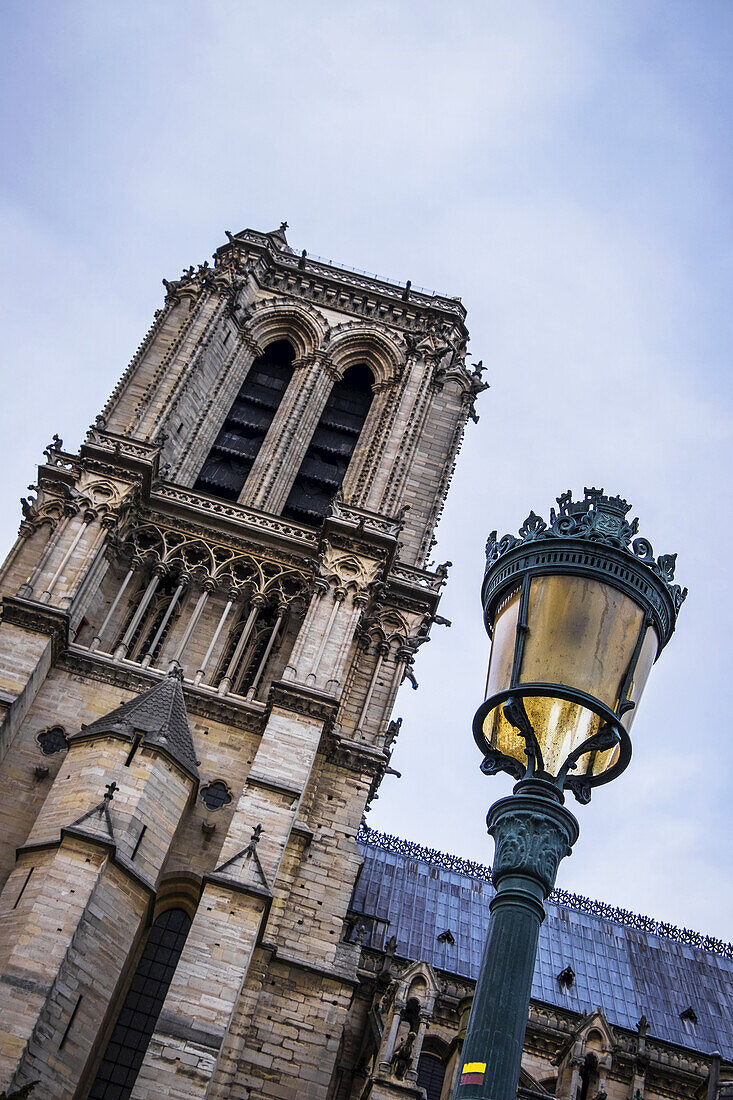 Lampost In Front Of Notre Dame Cathedral; Paris, France