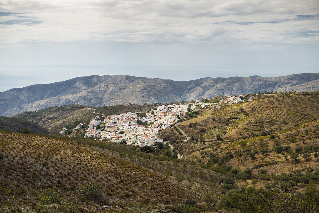 Landscape Of A Village In Alpujarra Of Granada Province; Andalucia, Spain