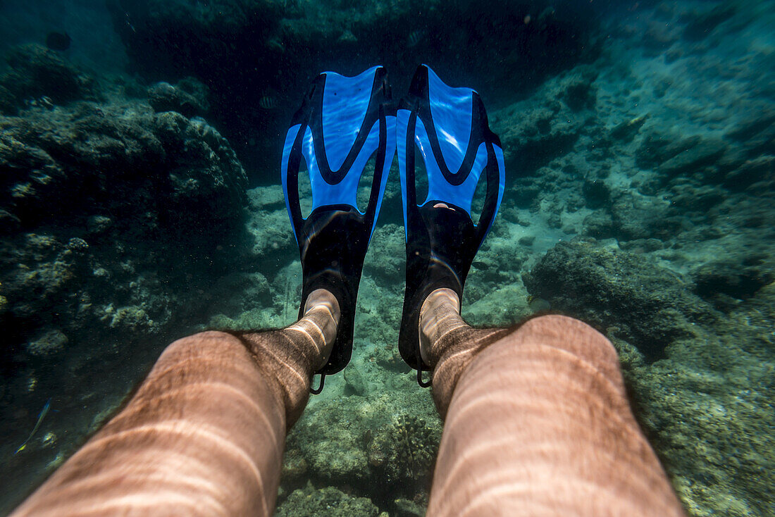 Snorkeling In Benguerra Island, The Second Largest Island In The Bazaruto Archipelago; Mozambique