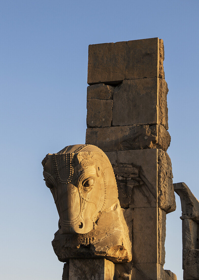 Kopf eines Stiers, Persepolis; Provinz Fars, Iran