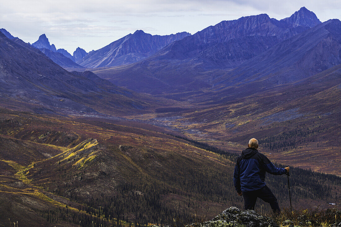 Mann, der auf einem Berggipfel steht und das Klondike-Tal im Herbst überblickt; Yukon, Kanada
