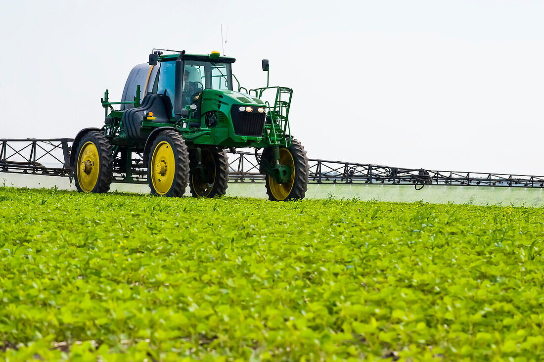 A high clearance sprayer gives a ground chemical application of herbicide to early growth soybeans, near Niverville; Manitoba, Canada