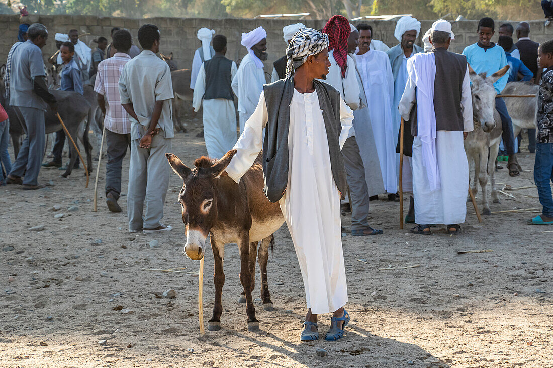 Man and his donkey at the Monday livestock market; Keren, Anseba Region, Eritrea