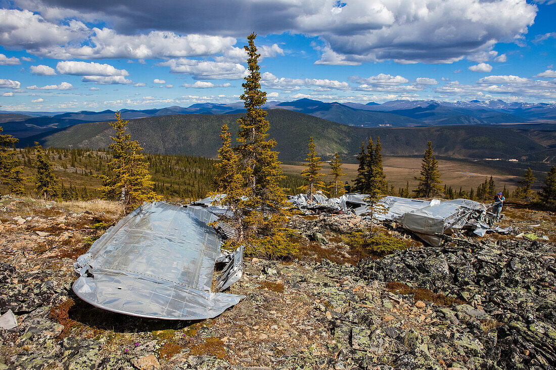 The land reclaiming a 1943 B-24 Liberator crash in the Yukon-Charley Rivers National Preserve, Wild and Scenic River, Charley River; Alaska, United States of America