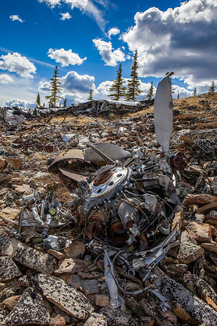 The land reclaiming a 1943 B-24 Liberator crash in the Yukon-Charley Rivers National Preserve, Wild and Scenic River, Charley River; Alaska, United States of America
