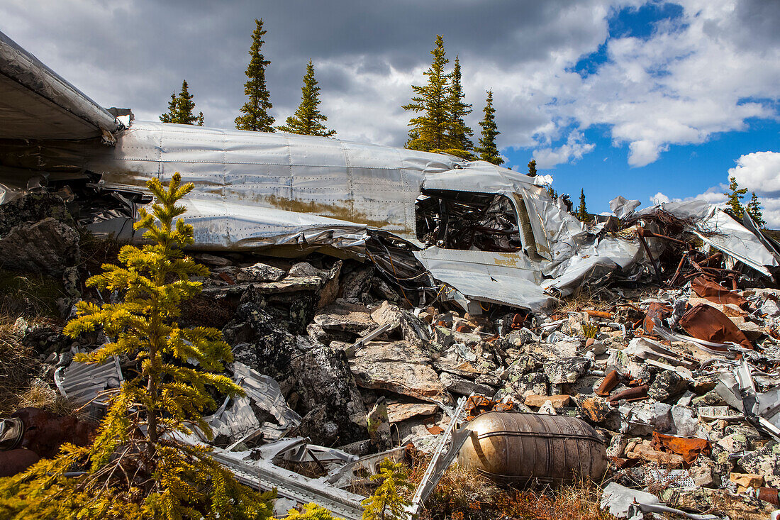 The land reclaiming a 1943 B-24 Liberator crash in the Yukon-Charley Rivers National Preserve, Wild and Scenic River, Charley River; Alaska, United States of America