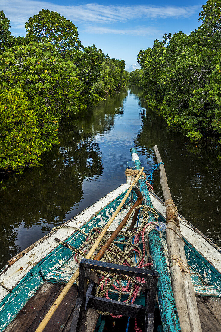 Sailing Through Mangroves, Quirimbas National Park; Cabo Delgado, Mozambique