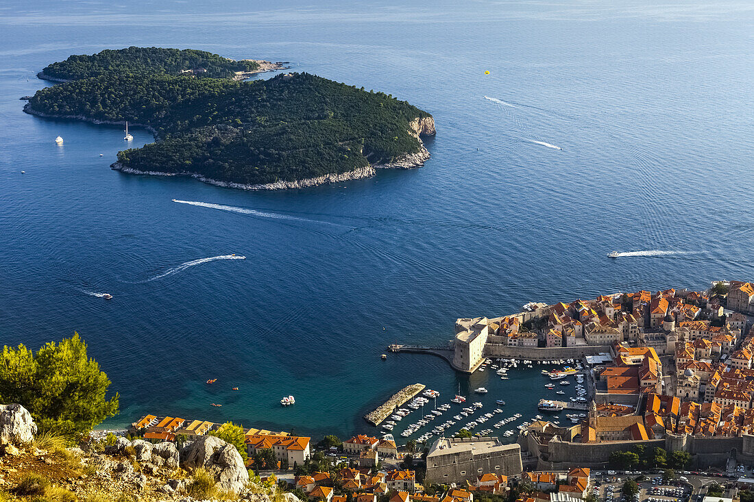 View Of Port And Rooftops; Dubrovnik, Croatia