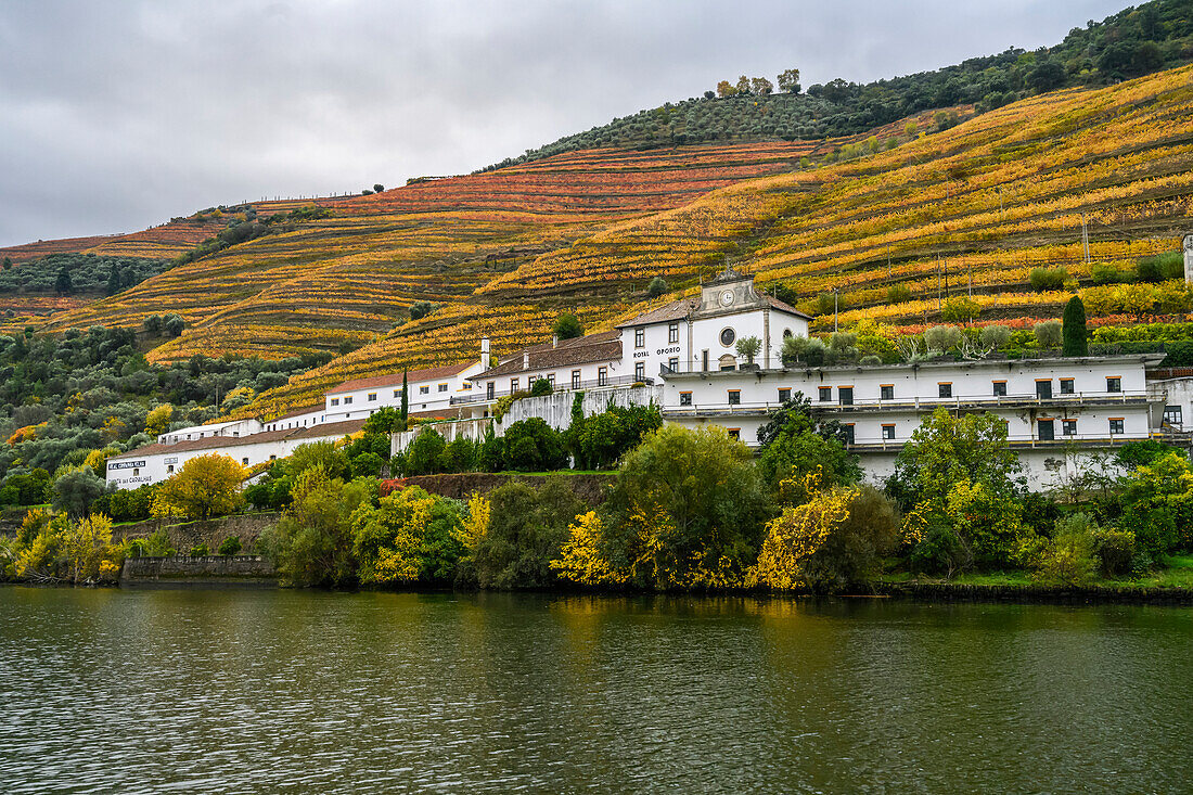 Boat ride along the Douro River viewing crops on the steep hillsides and a white residential building; Sao Joao da Pesqueira, Viseu District, Portugal
