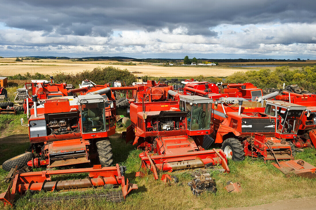 Old combines for used parts near Cudmore; Saskatchewan, Canada