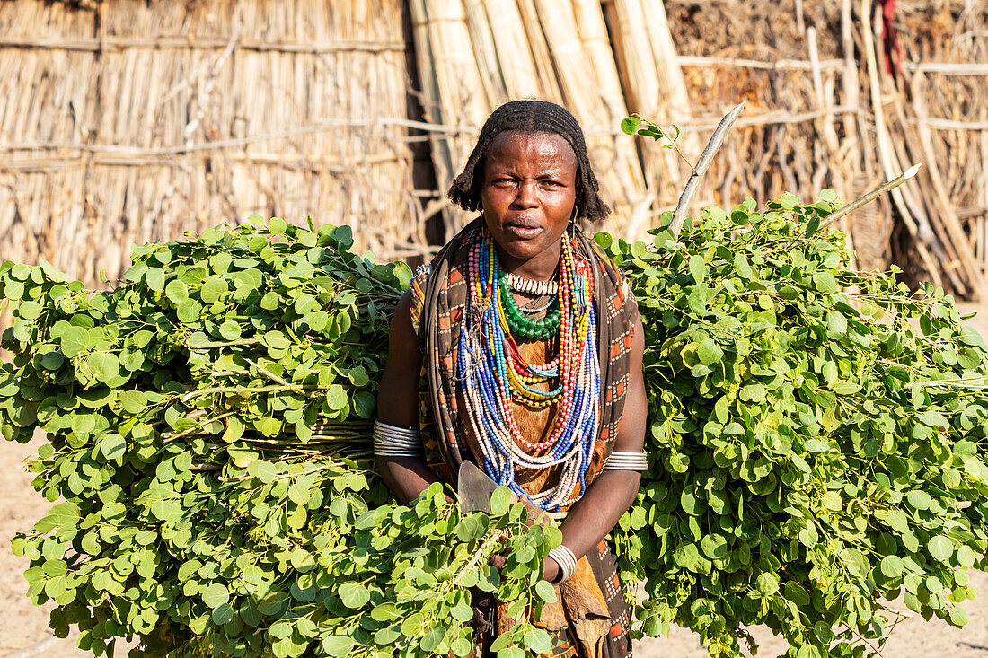 Arbore-Frau im Dorf Arbore, Omo-Tal; Region der südlichen Nationen und Völker, Äthiopien