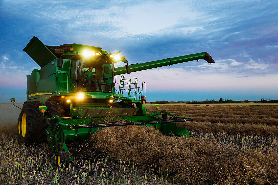 A fully loaded combine with its lights on arm out for transer, harvesting canola after sunset; Legal, Alberta, Canada