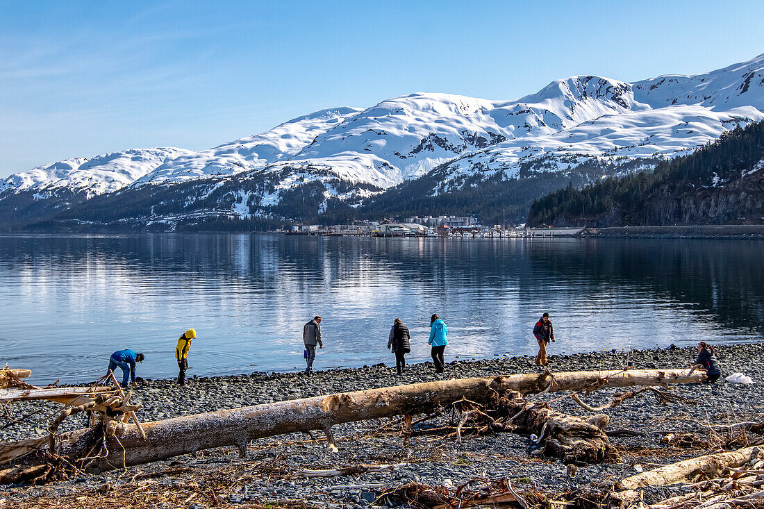 Beachcombers roam the beaches around Whittier, Alaska with parts of Whittier showing in background, South-central Alaska; Whittier, Alaska, United States of America