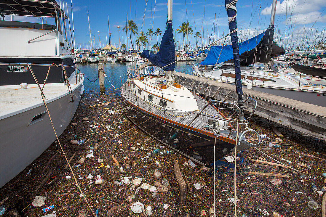 Floating plastic pollution in the Ala Wai boat harbor in Kahanamoku Lagoon; Honolulu, Oahu, Hawaii, United States of America