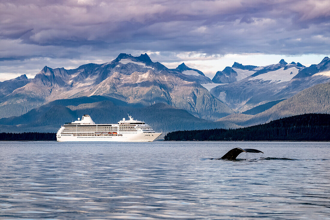 Humpback whale (Megaptera novaeangliae) fluke and a cruise ship along the coastline and coastal mountains, Inside Passage, Lynn Canal; Alaska, United States of America
