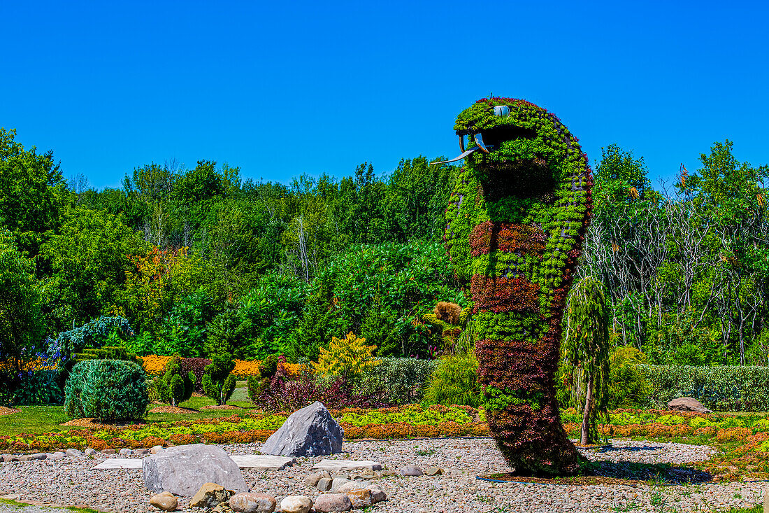 Plants with purple and green foliage created in the shape of a cobra; St Lazare, Quebec, Canada