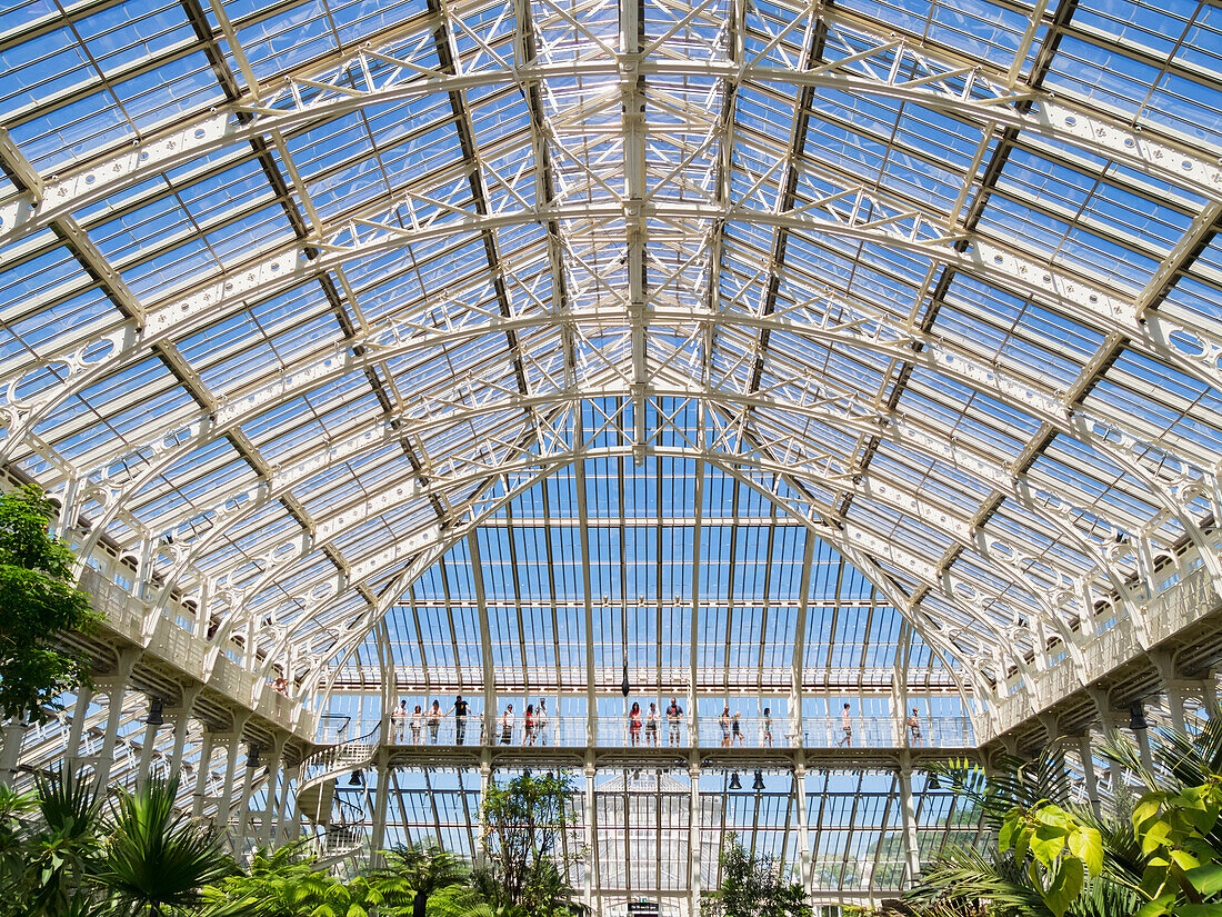 Kew Gardens Temperate House, renoviert; London, England