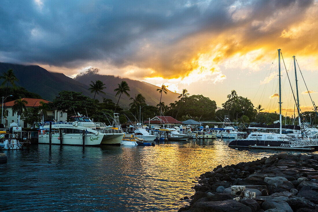 Yachts, sailboats and tour boats moored in the Lahaina harbour at sunset with volcanic island peaks in the distance; Lahaina, Maui, Hawaii, United States of America