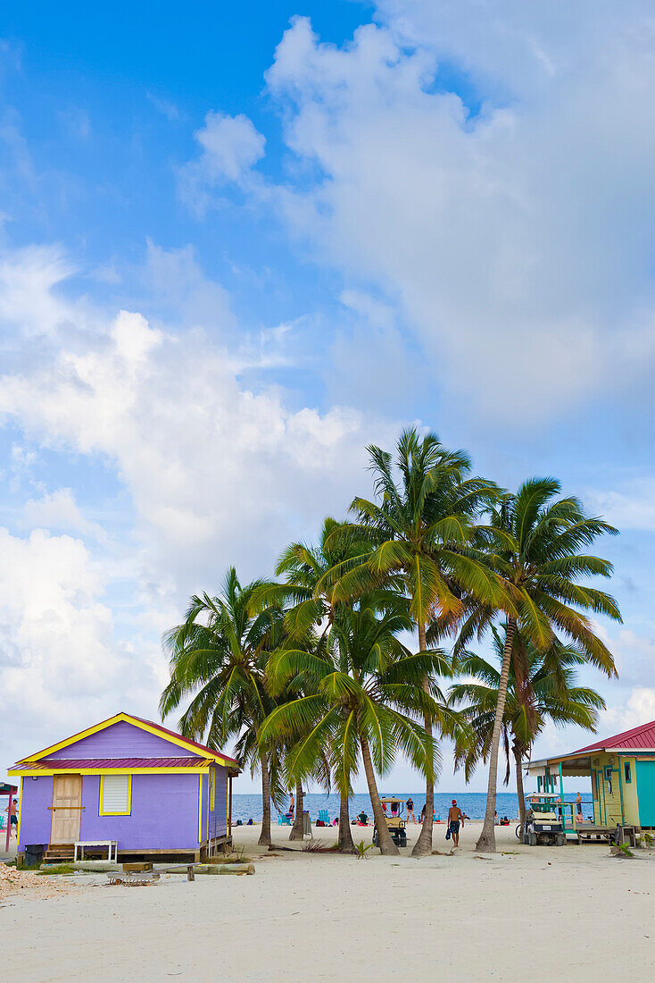 Bunte Gebäude und Palmen am Strand; Caye Caulker, Belize District, Belize