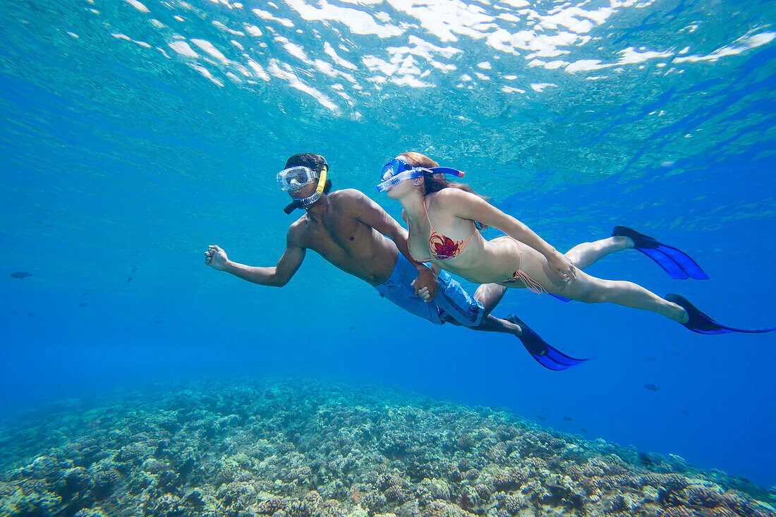 A young couple free diving off the island of Maui; Maui, Hawaii, United States of America