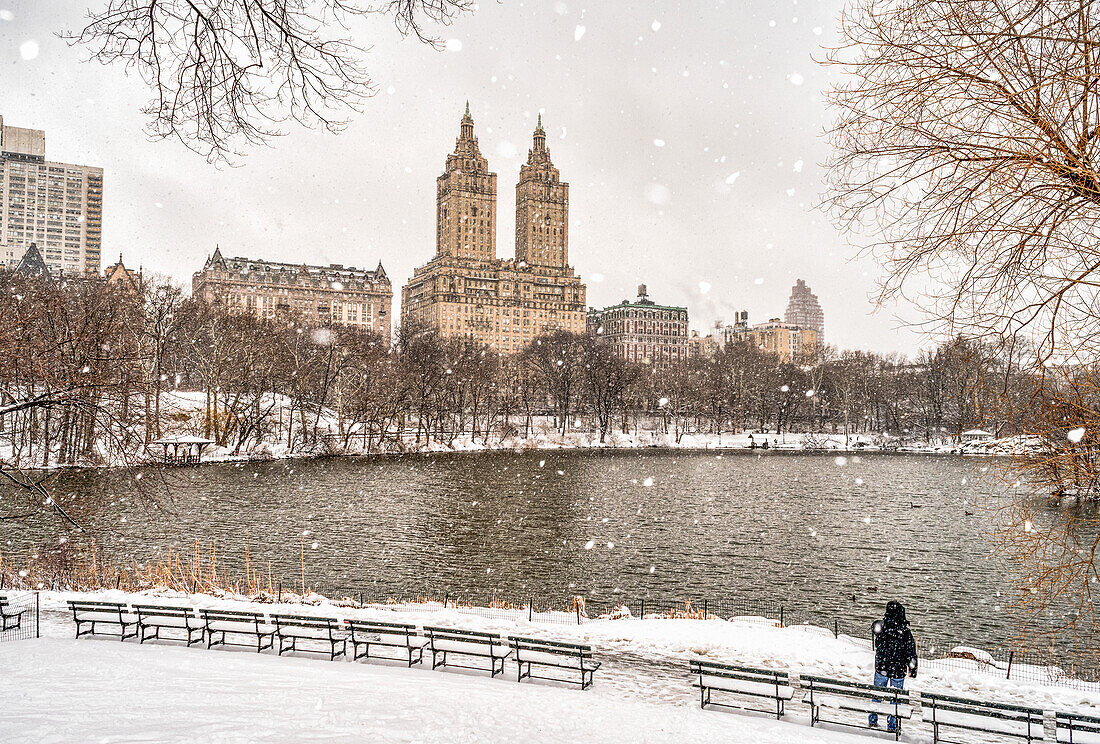 Snowfall by the lake in Central Park; New York City, New York, United States of America