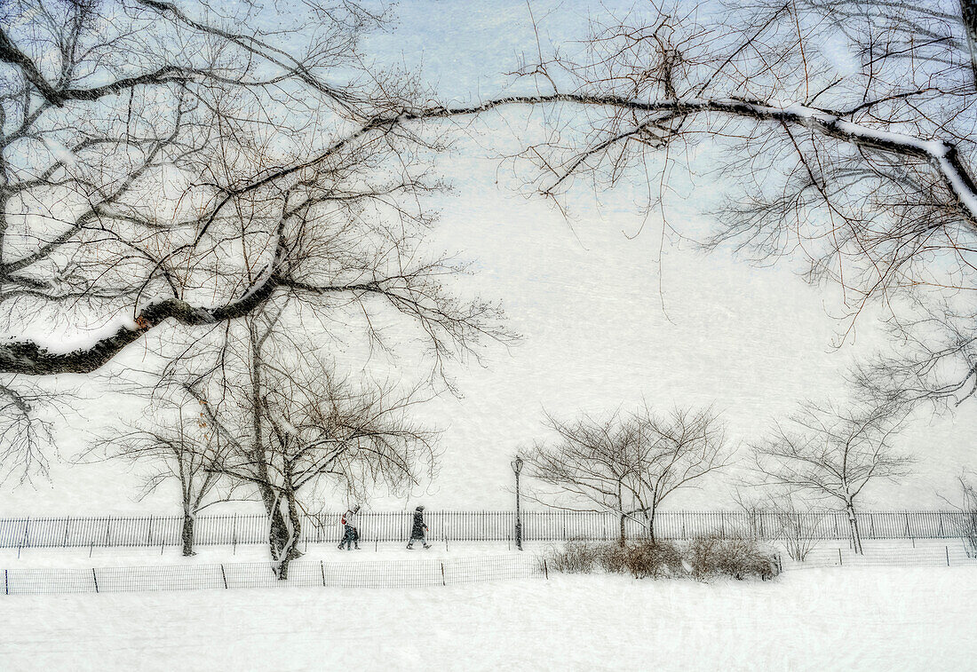 Snowfall by the Jacqueline Kennedy Onassis Reservoir, Central Park; Manhattan, New York, United States of America