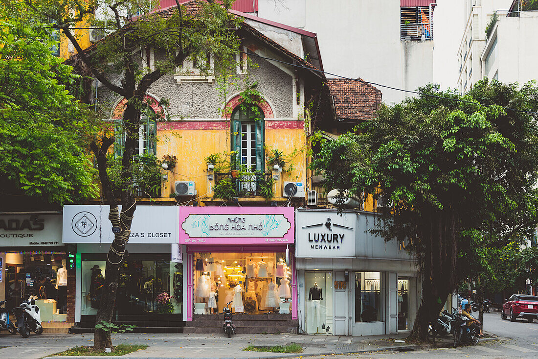 Straßenecke mit Bäumen und Geschäften; Hanoi, Vietnam