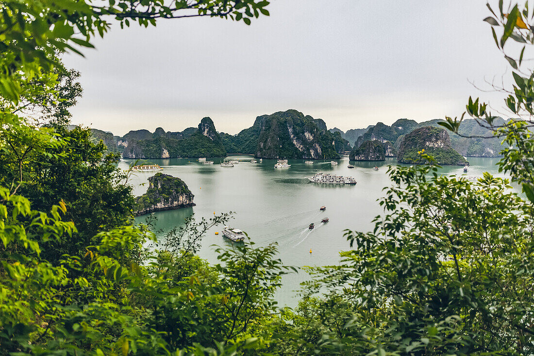 Ha Long-Bucht mit Booten; Provinz Quang Ninh, Vietnam