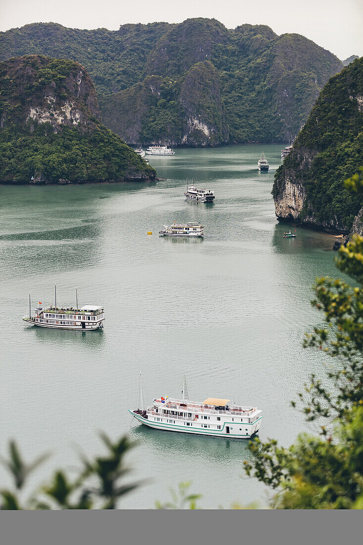 Ha Long Bucht mit Booten; Quang Ninh Provinz, Vietnam