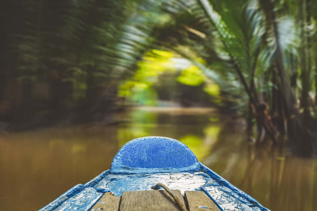 Boot auf dem Mekong-Fluss, Mekong-Flussdelta; Vietnam
