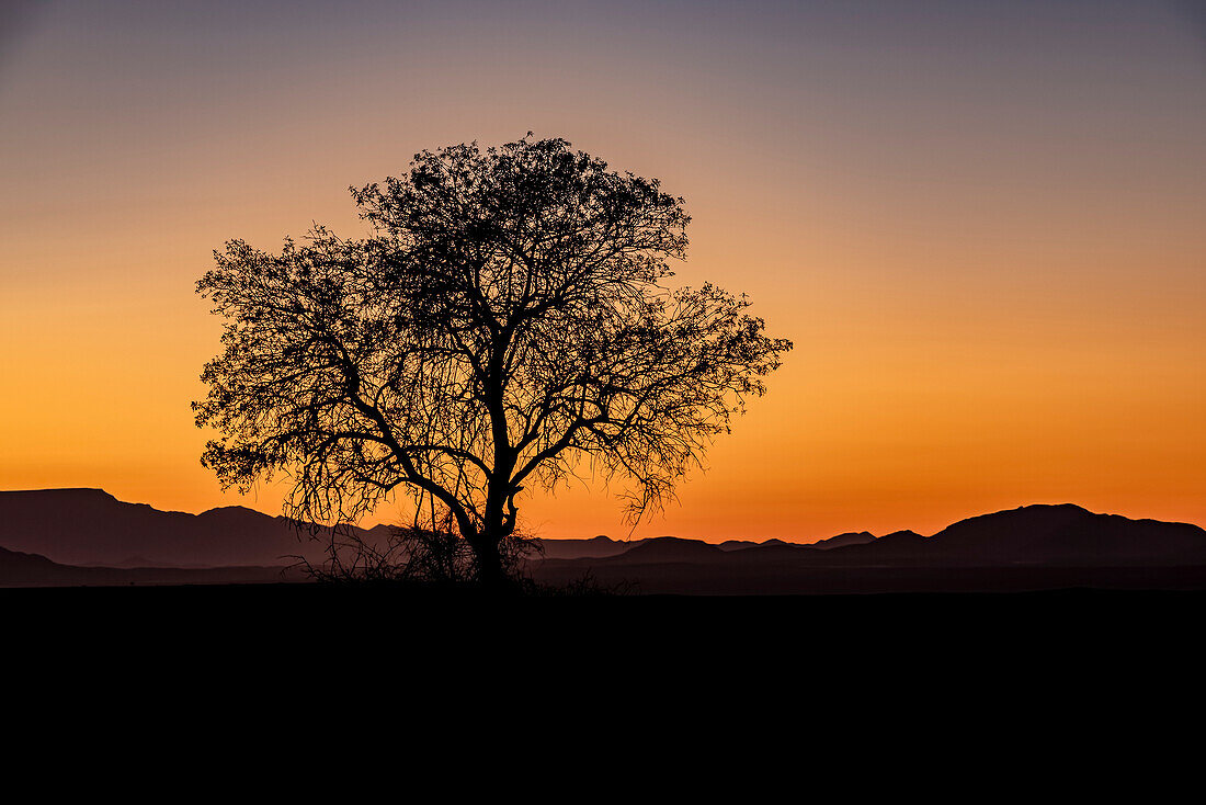 Sunrise in Aluvlei, Namib-Naukluft National Park; Namibia