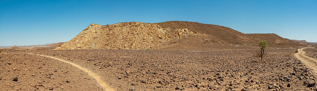 Tierspuren auf der Straße zum Brandberg, Damaraland; Kunene Region, Namibia