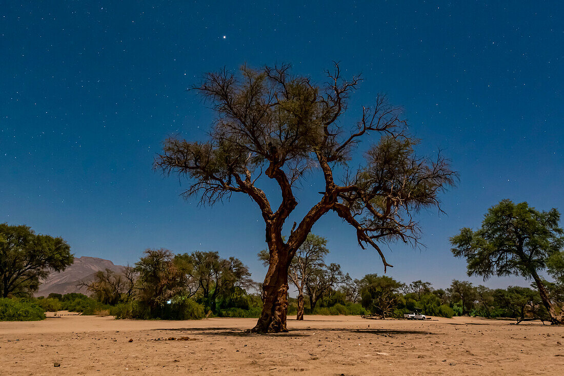 Damaraland; Kunene-Region, Namibia