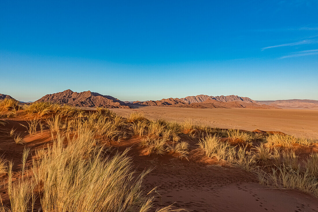 Elim dune, Namib Desert; Sesriem, Namibia