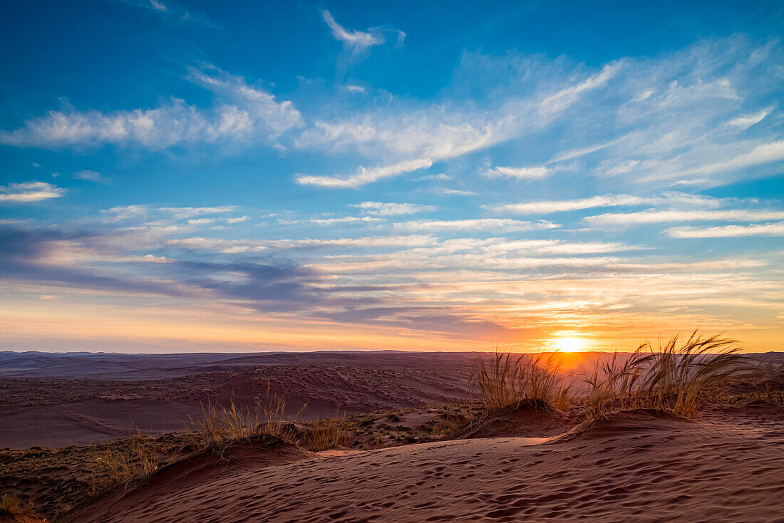 Elim dune, Sesriem, Namib-Naukluft National Park, Namib Desert; Namibia