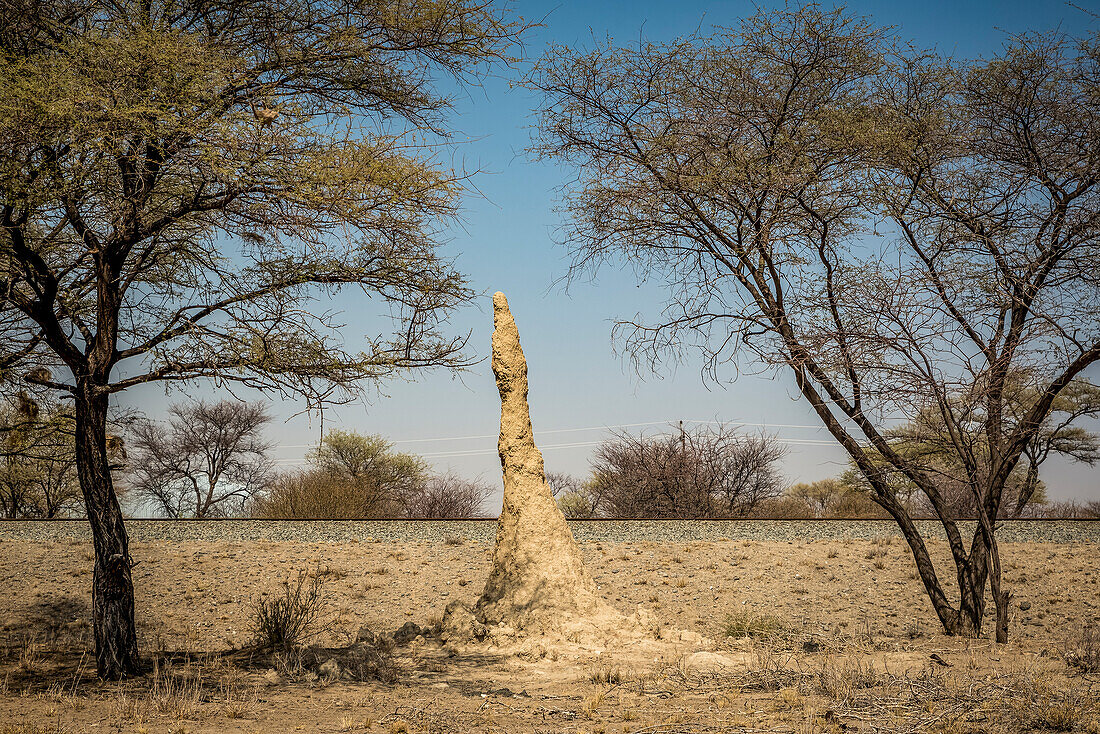 Termitenhügel; Otjozondjupa Region, Namibia