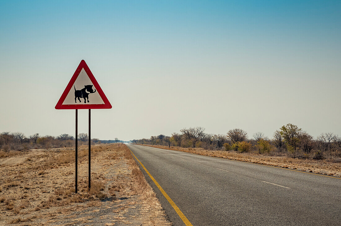 Warthog warning sign; Namibia