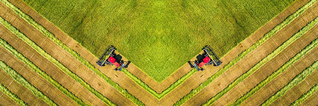 View from directly above of the mirror image of two swathers cutting a barley field with graphic harvest lines; Beiseker, Alberta, Canada