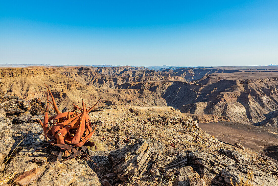 Fish River Canyon; Namibia