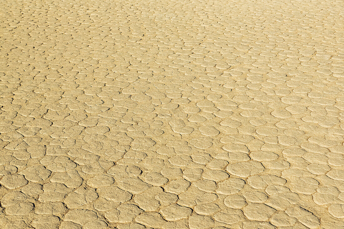 Deadvlei, eine weiße Lehmpfanne, umgeben von den höchsten Sanddünen der Welt, Namib-Wüste; Namibia