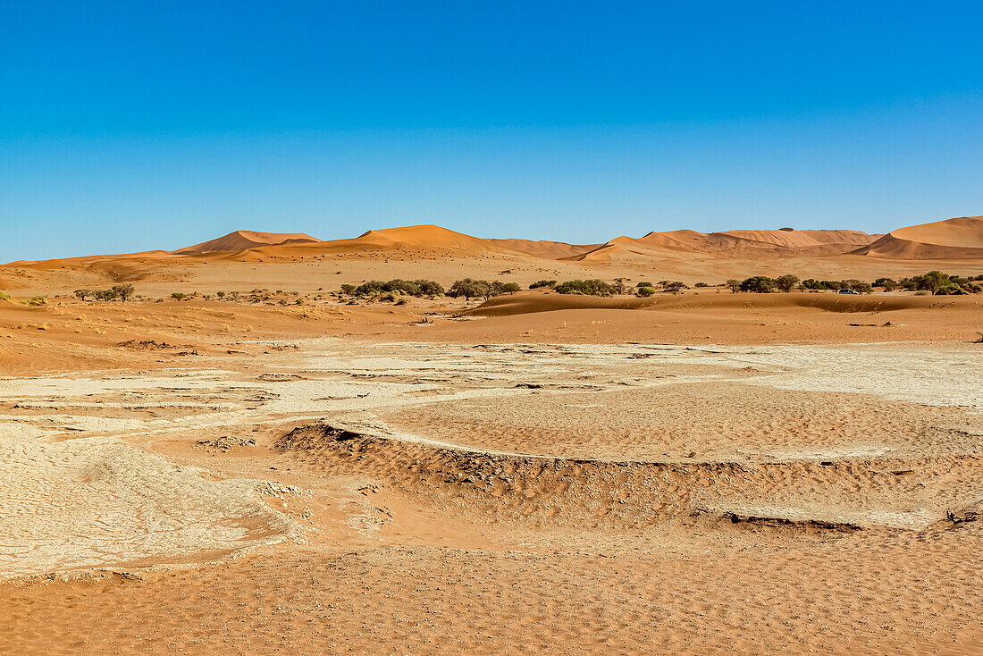 Sand dunes near Deadvlei, Namib Desert, Namib-Naukluft National Park; Namibia