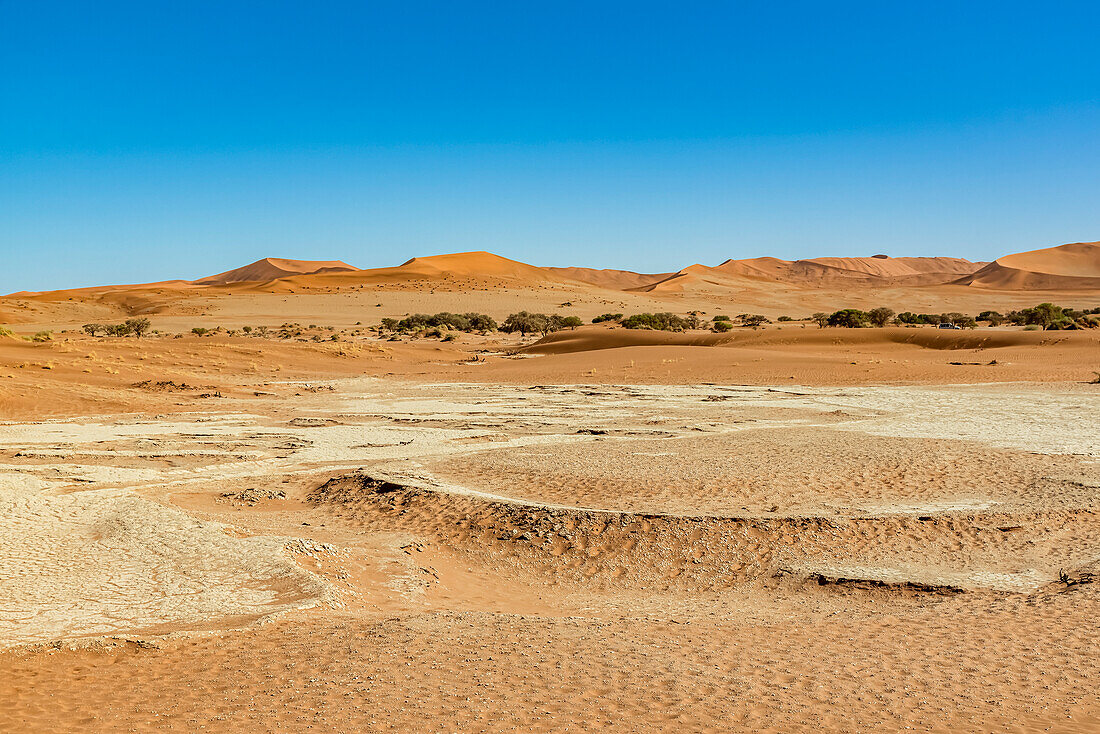 Sanddünen bei Deadvlei, Namib-Wüste, Namib-Naukluft-Nationalpark; Namibia