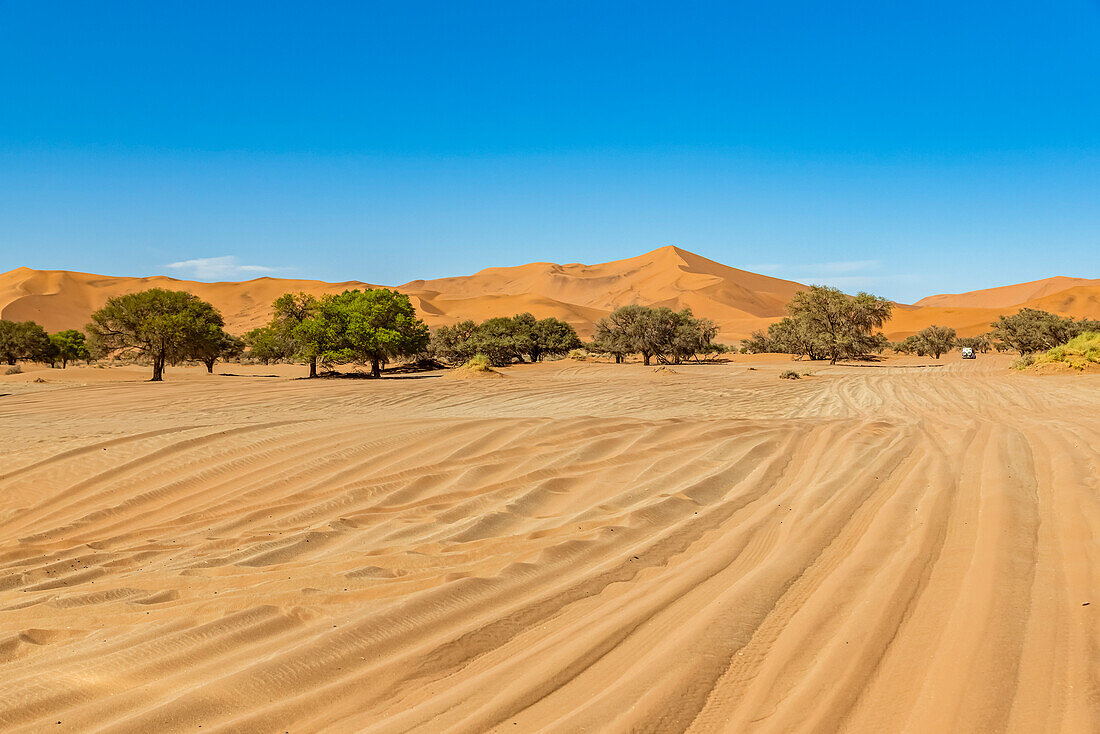 Sossusvlei, Namib-Wüste, Namib-Naukluft-Nationalpark; Namibia