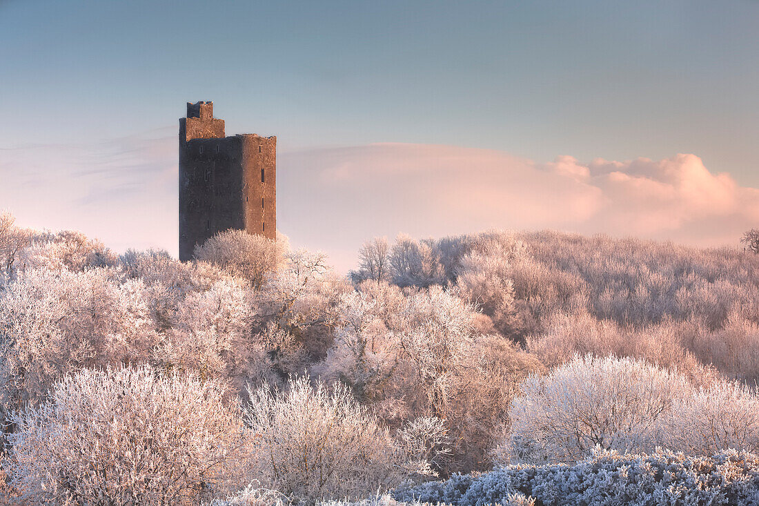 Kilworth Castle, eine alte Burgruine mit Blick auf einen schneebedeckten Wald im Winter bei Sonnenaufgang; Kilworth, Grafschaft Cork, Irland