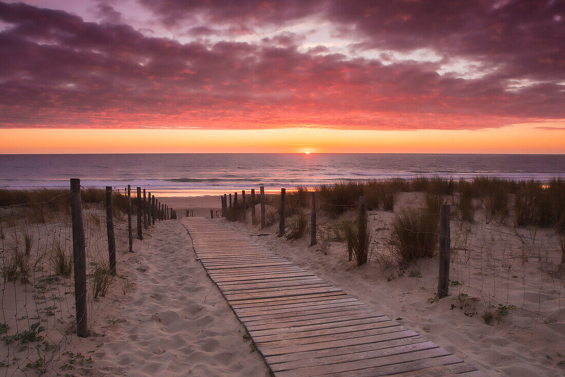 Wooden walkway leading to a French beach on the Atlantic coast with a setting sun during summer; Lacanau, France
